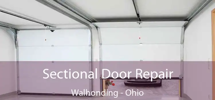 Sectional Door Repair Walhonding - Ohio