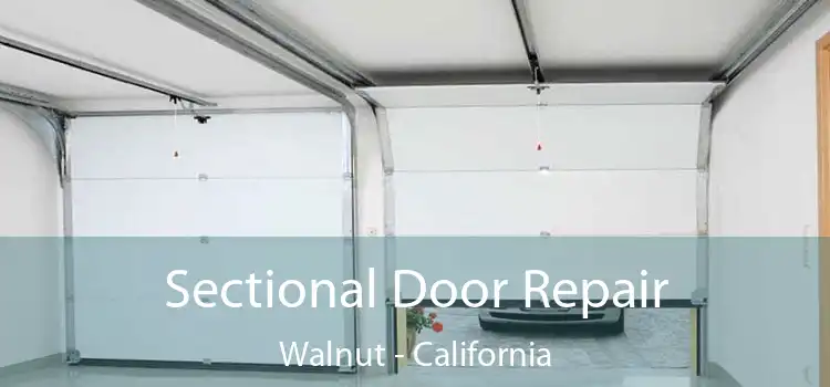 Sectional Door Repair Walnut - California