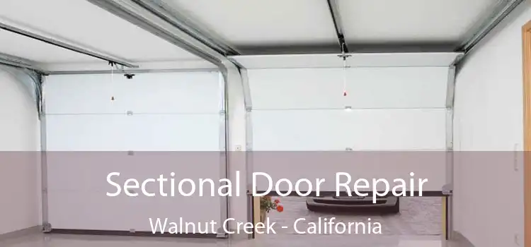 Sectional Door Repair Walnut Creek - California