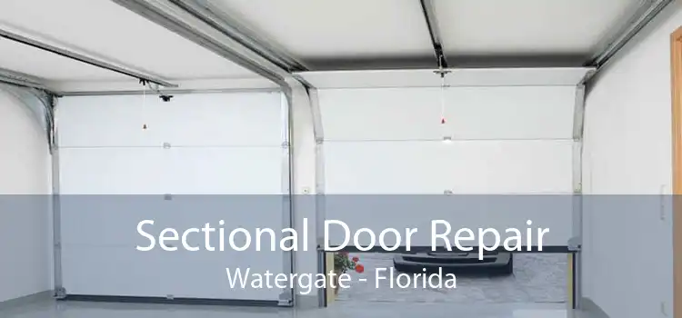 Sectional Door Repair Watergate - Florida