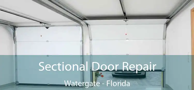 Sectional Door Repair Watergate - Florida