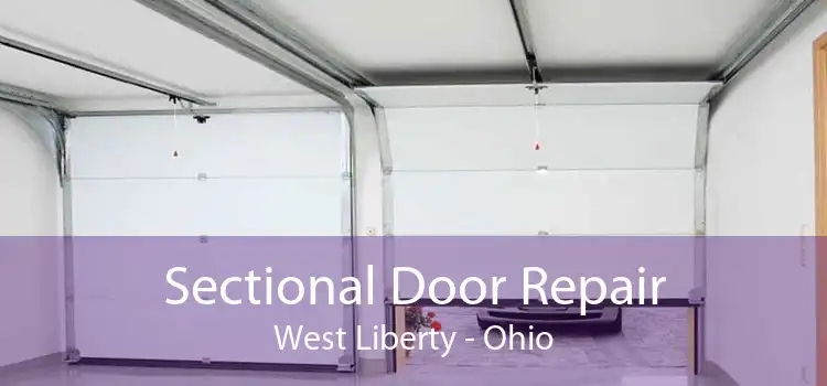 Sectional Door Repair West Liberty - Ohio
