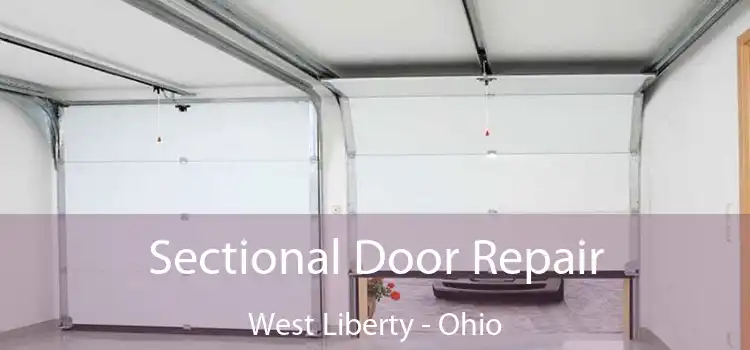 Sectional Door Repair West Liberty - Ohio