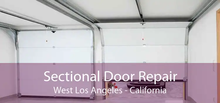 Sectional Door Repair West Los Angeles - California