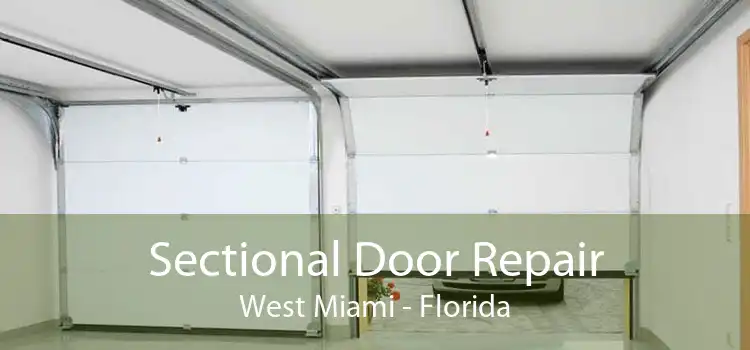 Sectional Door Repair West Miami - Florida