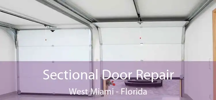 Sectional Door Repair West Miami - Florida