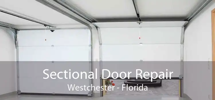 Sectional Door Repair Westchester - Florida