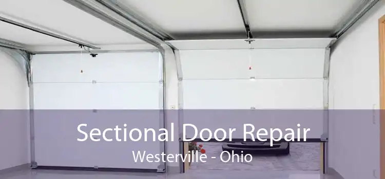 Sectional Door Repair Westerville - Ohio