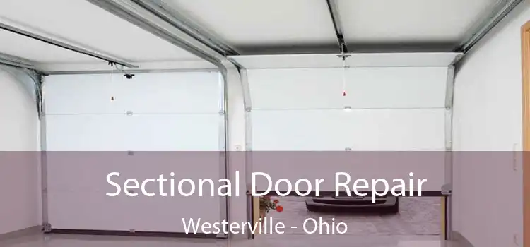 Sectional Door Repair Westerville - Ohio