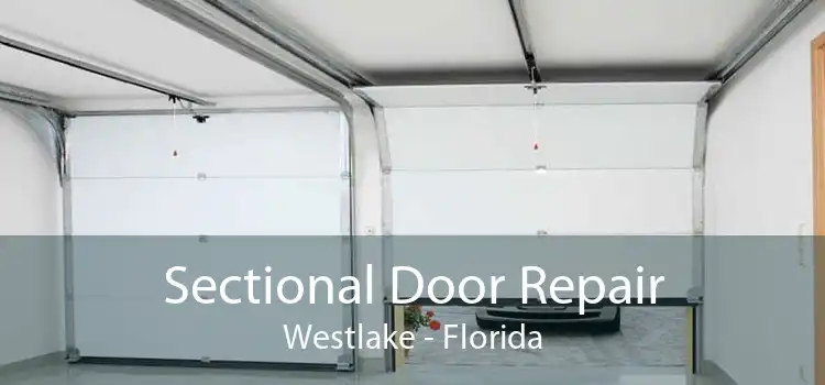 Sectional Door Repair Westlake - Florida