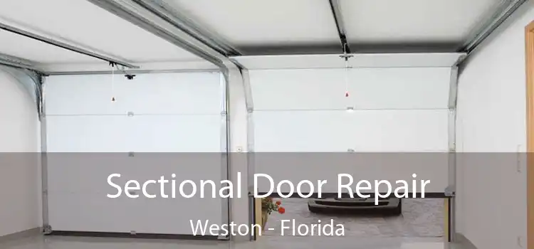 Sectional Door Repair Weston - Florida