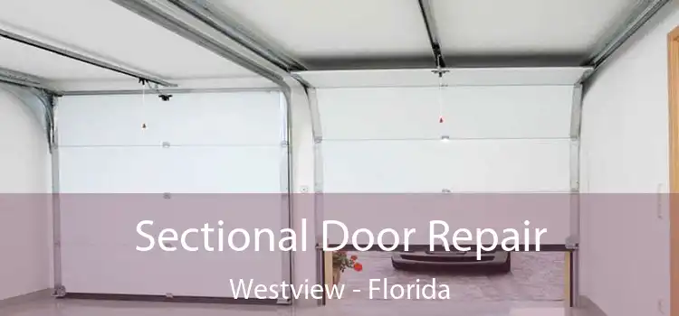 Sectional Door Repair Westview - Florida