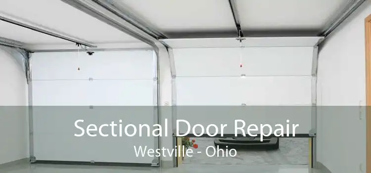 Sectional Door Repair Westville - Ohio