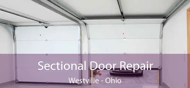 Sectional Door Repair Westville - Ohio