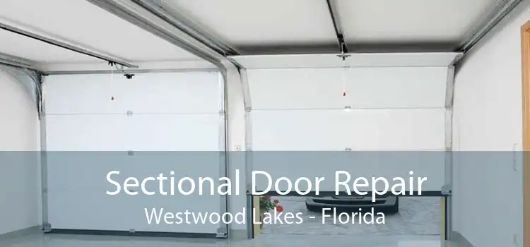 Sectional Door Repair Westwood Lakes - Florida
