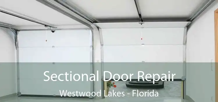 Sectional Door Repair Westwood Lakes - Florida