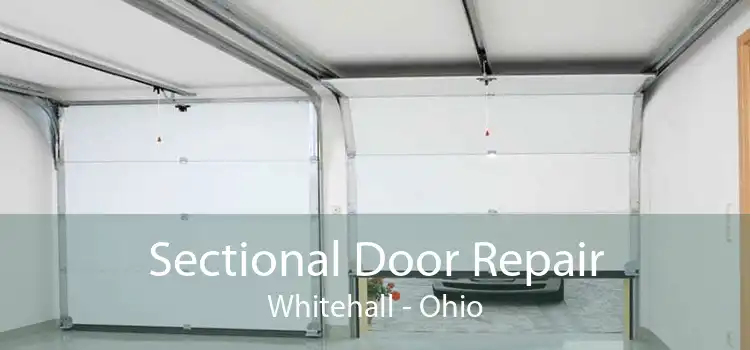 Sectional Door Repair Whitehall - Ohio