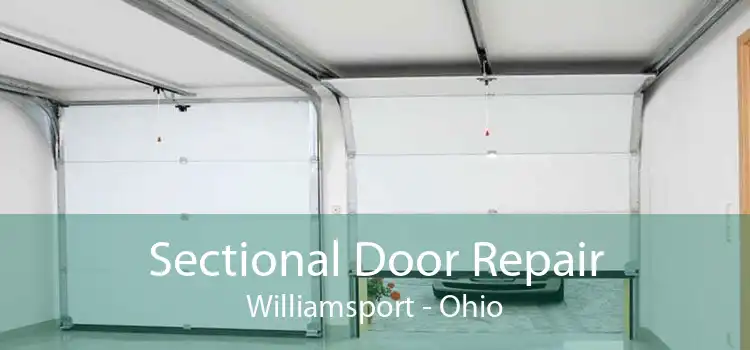 Sectional Door Repair Williamsport - Ohio