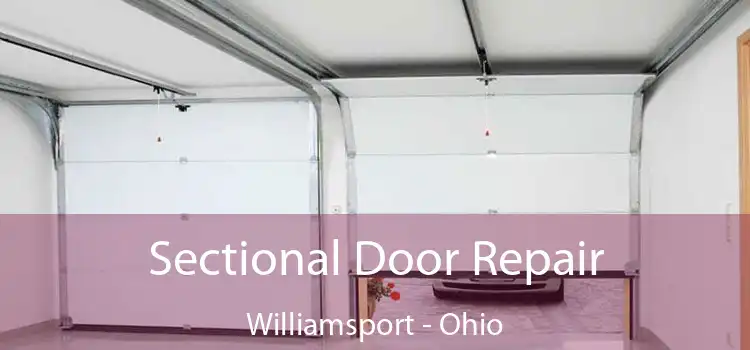 Sectional Door Repair Williamsport - Ohio