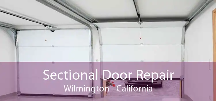 Sectional Door Repair Wilmington - California