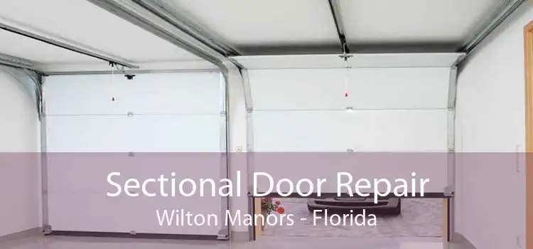 Sectional Door Repair Wilton Manors - Florida