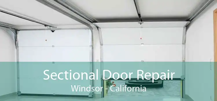 Sectional Door Repair Windsor - California