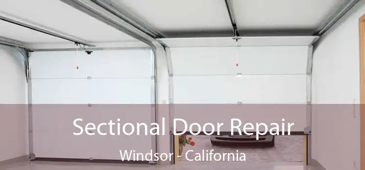 Sectional Door Repair Windsor - California