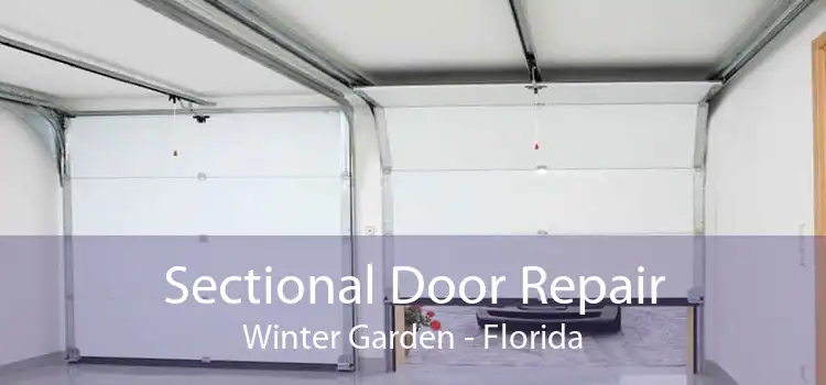 Sectional Door Repair Winter Garden - Florida
