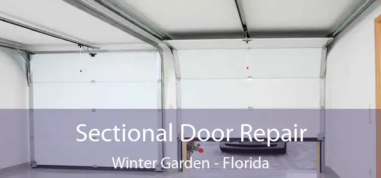 Sectional Door Repair Winter Garden - Florida