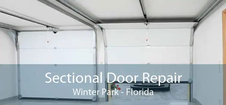 Sectional Door Repair Winter Park - Florida