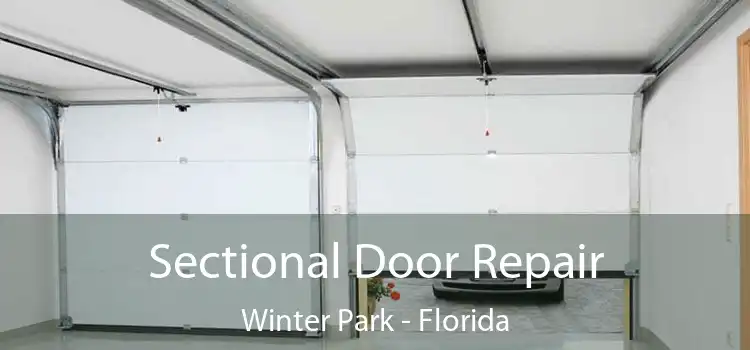 Sectional Door Repair Winter Park - Florida