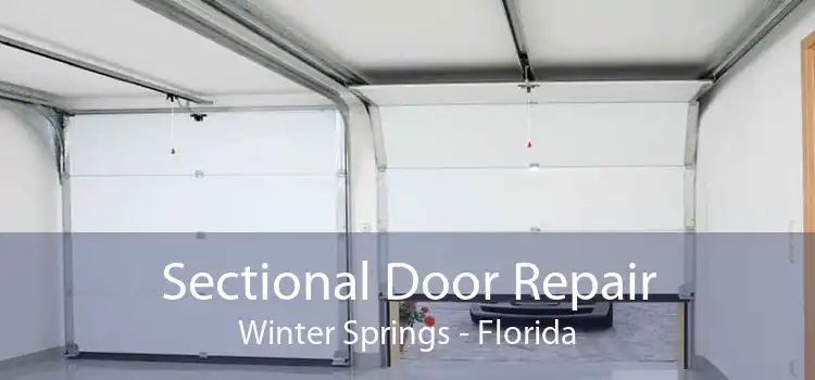 Sectional Door Repair Winter Springs - Florida