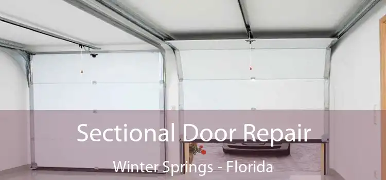 Sectional Door Repair Winter Springs - Florida