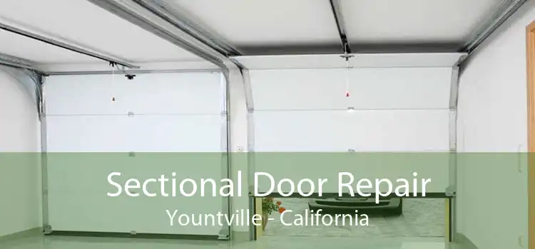Sectional Door Repair Yountville - California