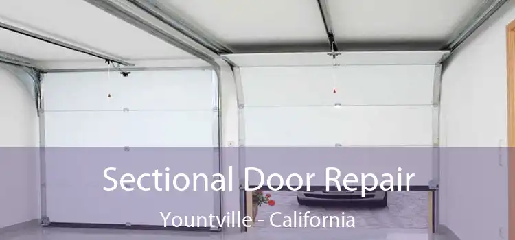 Sectional Door Repair Yountville - California