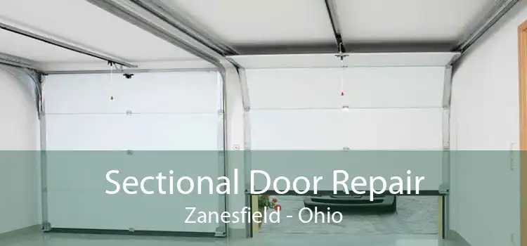 Sectional Door Repair Zanesfield - Ohio
