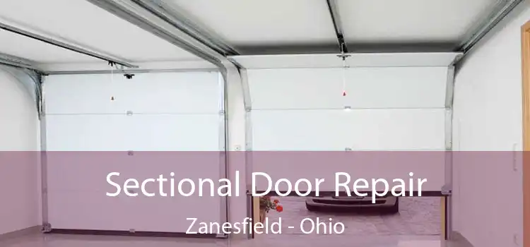 Sectional Door Repair Zanesfield - Ohio