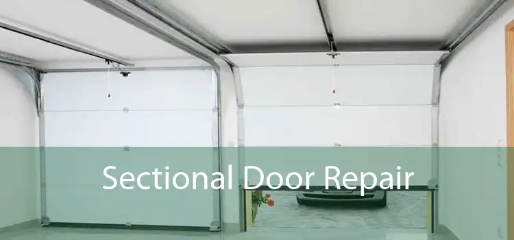 Sectional Door Repair 