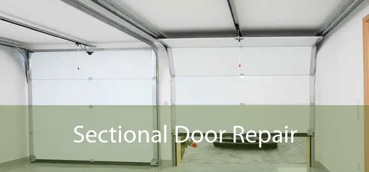 Sectional Door Repair 