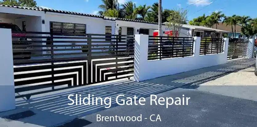  Sliding Gate Repair Brentwood - CA
