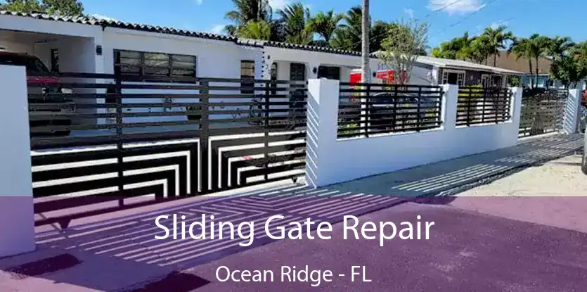  Sliding Gate Repair Ocean Ridge - FL