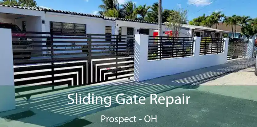  Sliding Gate Repair Prospect - OH