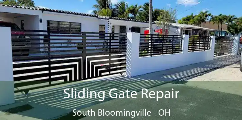  Sliding Gate Repair South Bloomingville - OH