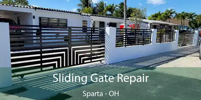  Sliding Gate Repair Sparta - OH