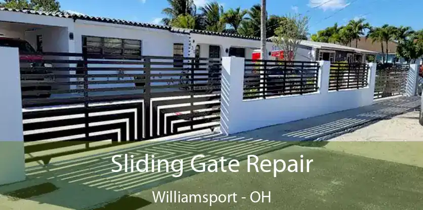  Sliding Gate Repair Williamsport - OH
