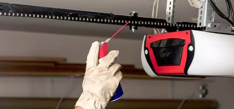 LiftMaster Garage Door Opener Belt and Chain Drive Repairs in Tacoma, WA